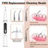 Ultrasonic Dental Scaler Calculus Remover