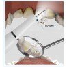 Ultrasonic Dental Scaler Calculus Remover